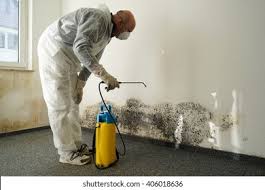 Best Biohazard Mold Removal  in USA